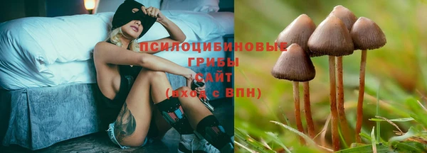 ПСИЛОЦИБИНОВЫЕ ГРИБЫ Магадан