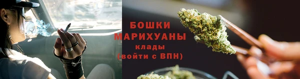 дмт Лиски