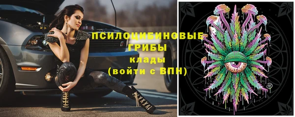 бошки Лихославль