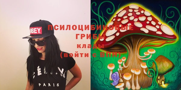 дмт Лиски